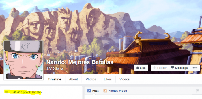 Niche-Site-Facebook-Naruro